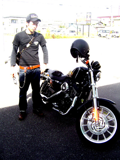 Harley-Davidson Sportstar: カスタムカルチャーとロウブロウアート